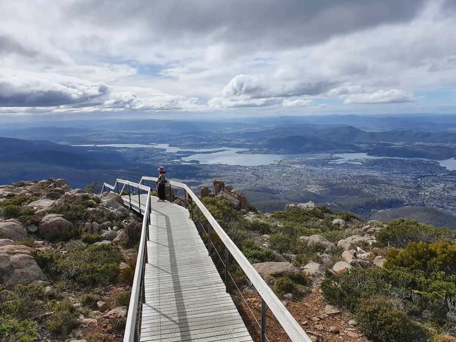 From Hobart: Mt Wellington Pinnacle 2 Hour Small Group Tour - Starting at Davey Street and passing old Hobart