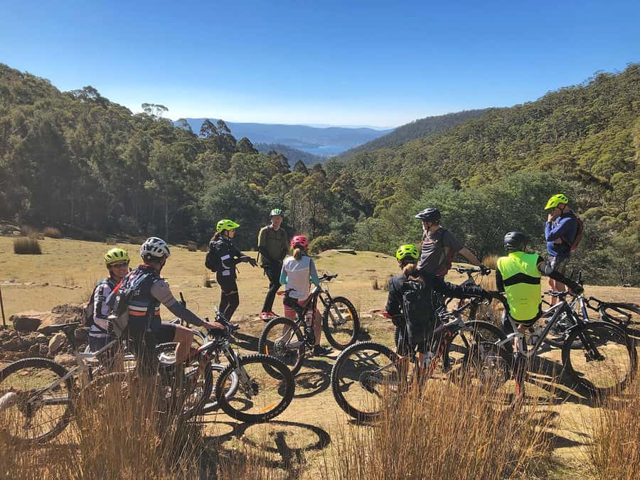 From Hobart: Mt Wellington Summit & Rainforest Bike Tour - Key points at a glance