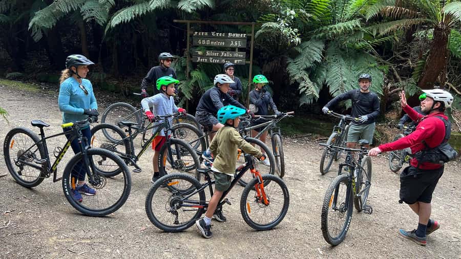 From Hobart: Mt Wellington Summit & Rainforest Bike Tour - Guides who keep the ride relaxed and safe