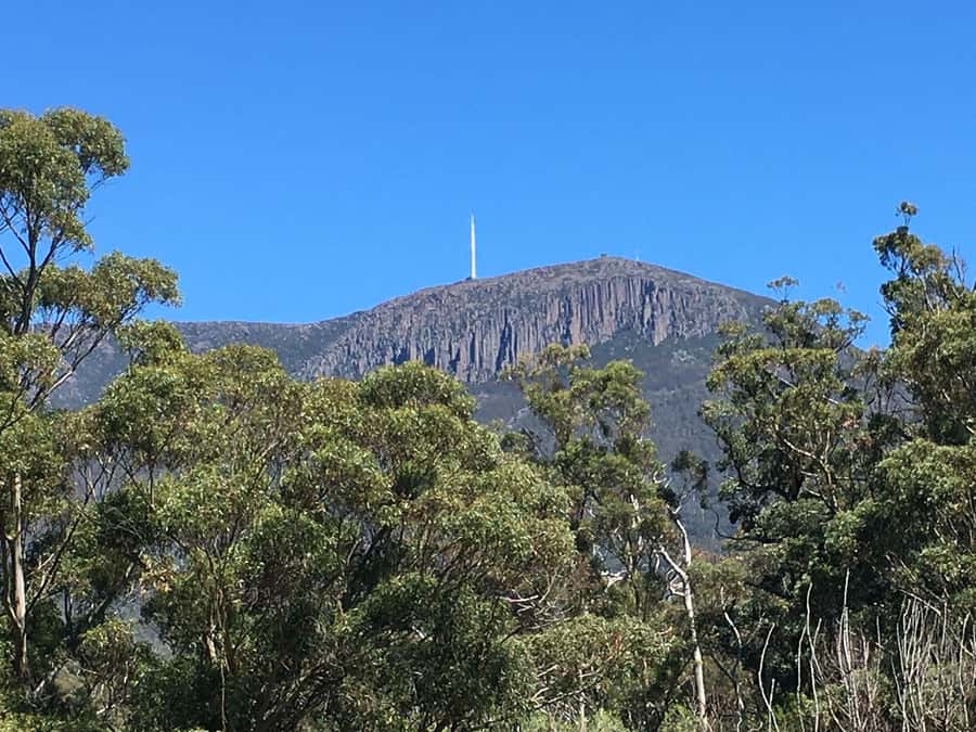 From Hobart: Mt Wellington Summit & Rainforest Bike Tour - Weather, wildlife, and the value of flexibility