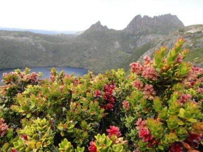 Cradle Mountain – Active Day Tour