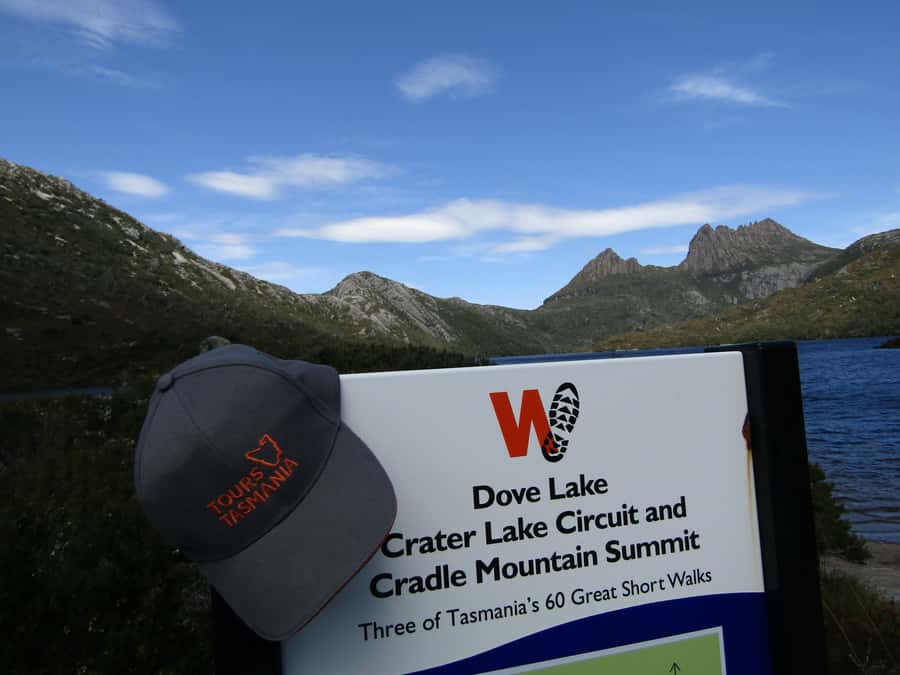 From Launceston: Cradle Mountain - Active Day Tour - Pencil Pine Falls and the first taste of rainforest