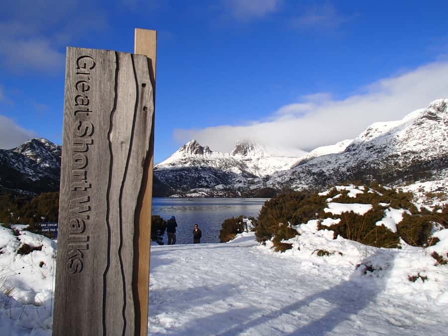 From Launceston: Cradle Mountain - Active Day Tour - Marion’s Lookout for a harder reward