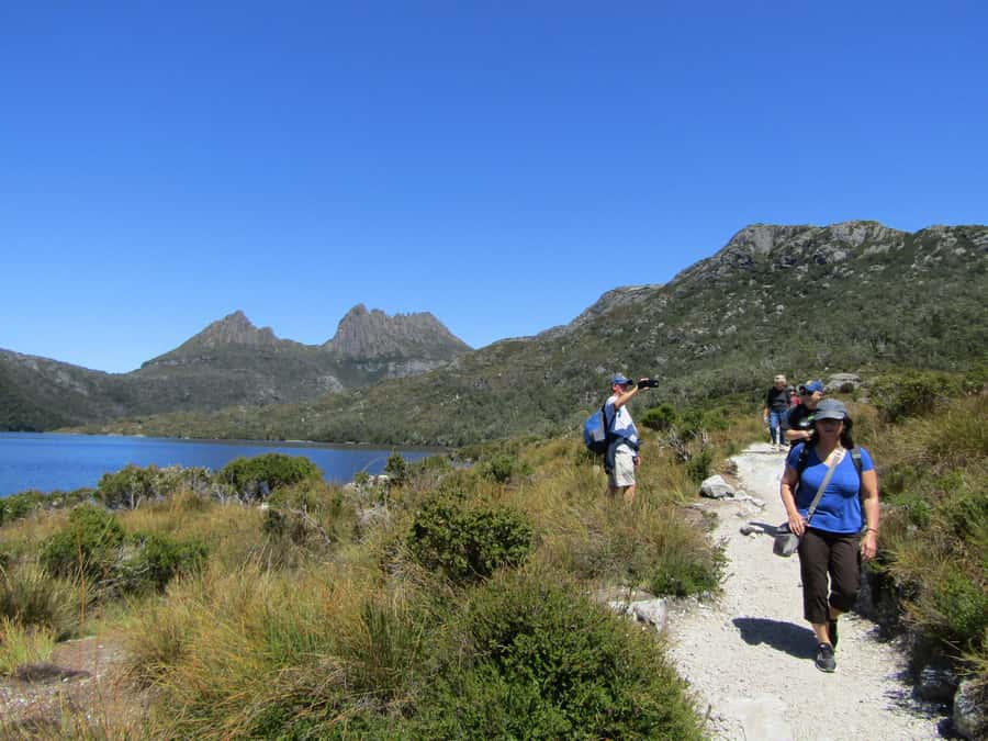 From Launceston: Cradle Mountain - Active Day Tour - Ice cream and raspberries at day’s end