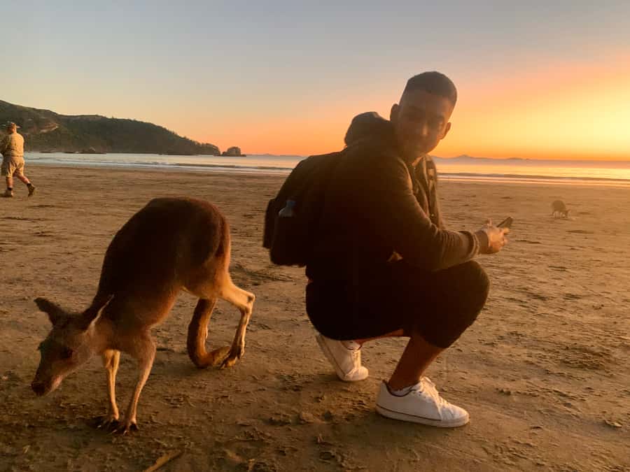 From Mackay: Wallabies on the Beach Sunrise Trip - The pre-dawn drive from Mackay