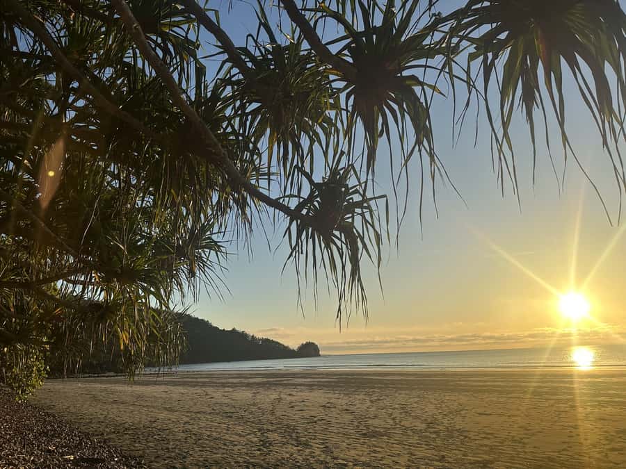 From Mackay: Wallabies on the Beach Sunrise Trip - The lookout and the Hibiscus Coast sunrise