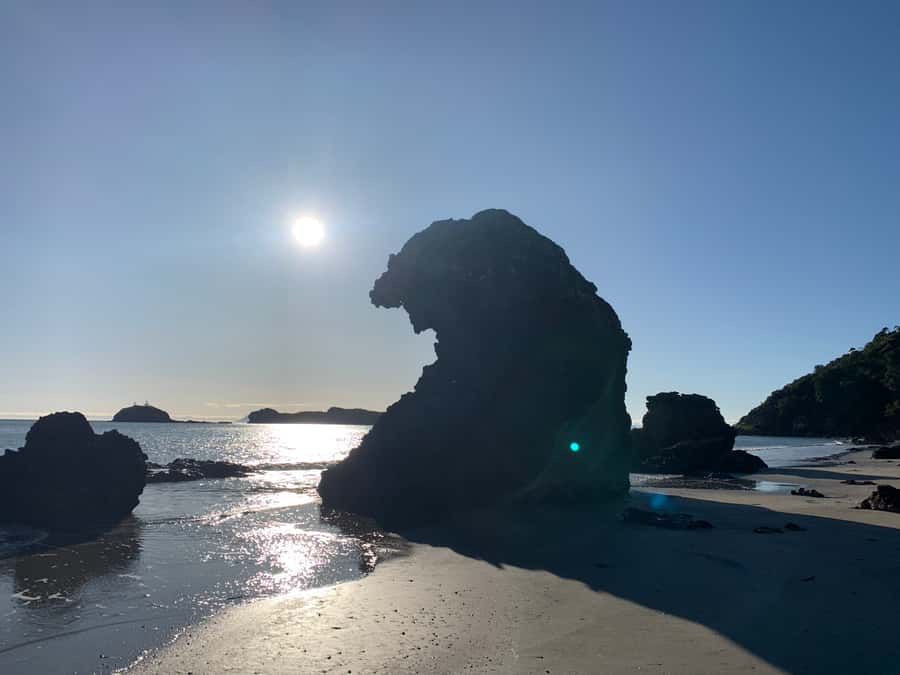 From Mackay: Wallabies on the Beach Sunrise Trip - What the $91 price gets you