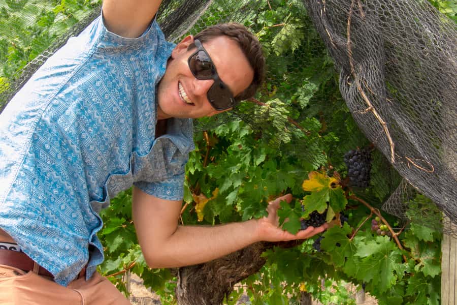 From Margaret River: Margaret River Wine Adventure - Key points at a glance