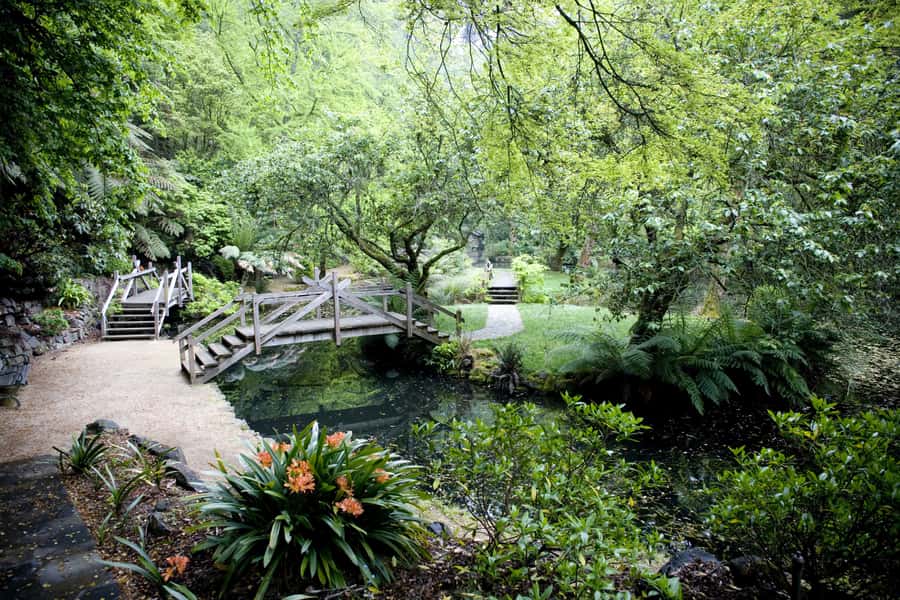 From Melbourne: Dandenong Ranges Private Day Tour - Key points to know