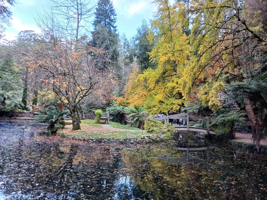 From Melbourne: Dandenong Ranges Private Day Tour - The Dandenong Ranges Botanic Gardens