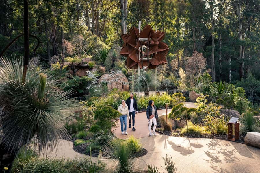 From Melbourne: Dandenong Ranges Private Day Tour - Timing, cost, and practical preparation