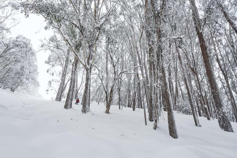 From Melbourne: Day Tour to Mt Buller with Snow Clothes - Who should book this Mt Buller transfer