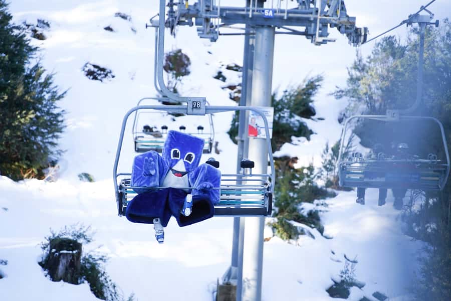 From Melbourne: Day Trip to Mt Buller by Premium Tour Coach - The three-hour drive through Victoria’s high country
