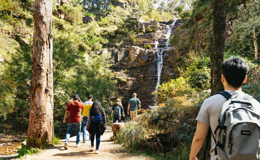 From Melbourne: Grampians National Park Group Tour - The early start and the Ballarat morning-tea stop