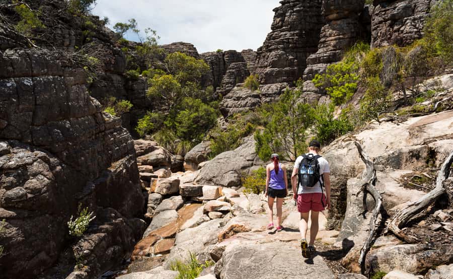 From Melbourne: Grampians National Park Group Tour - Halls Gap: lunch, kangaroos, and a useful break
