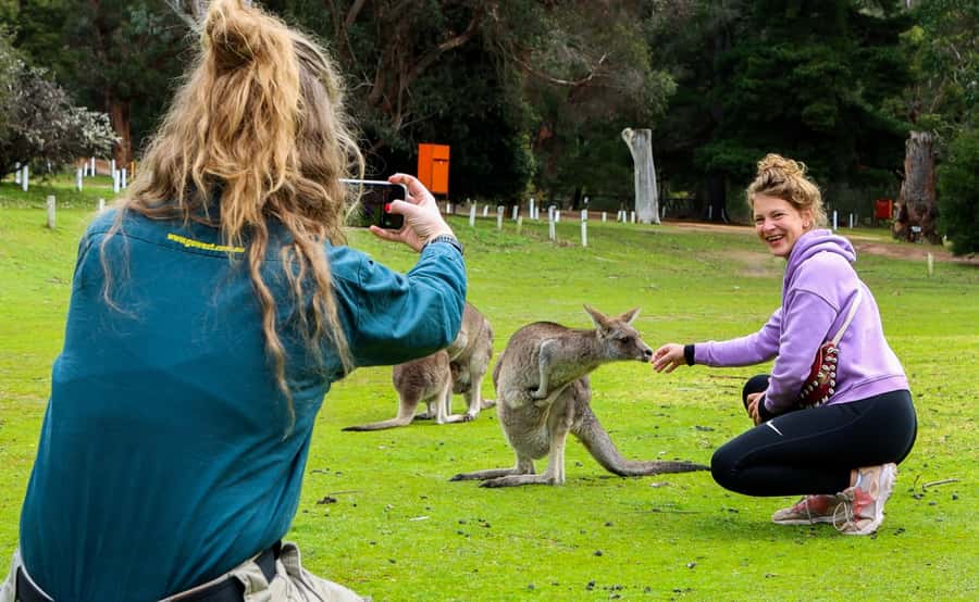 From Melbourne: Grampians National Park Group Tour - MacKenzie Falls and the 260-step decision