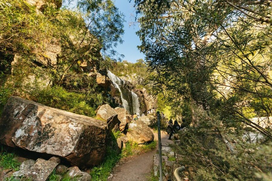 From Melbourne: Grampians National Park Group Tour - A guide can make the long return enjoyable