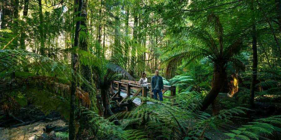 From Melbourne: Great Ocean Road & 12 Apostles Full-Day Tour - Cape Patton and the changing coast
