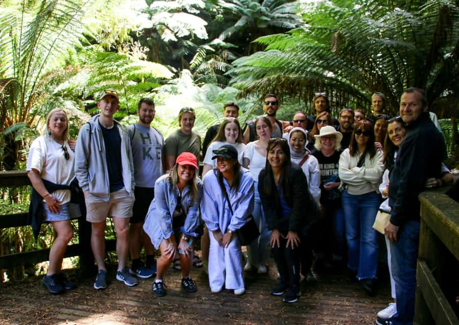 From Melbourne: Great Ocean Road & 12 Apostles Full-Day Tour - Melba Gully and the Cascades walk
