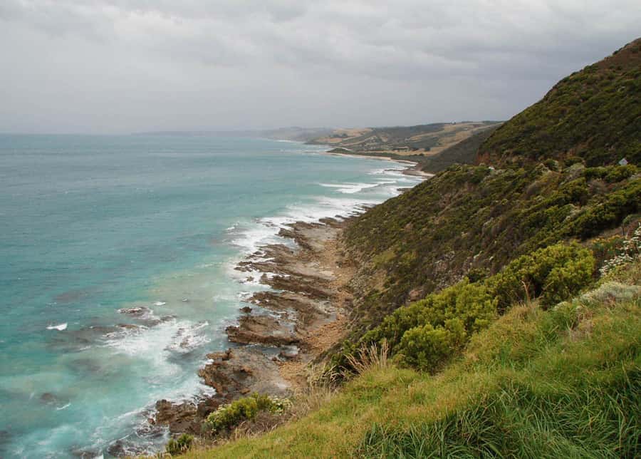 From Melbourne: Great Ocean Road Day Tour - A cool rainforest walk in the Great Otway region