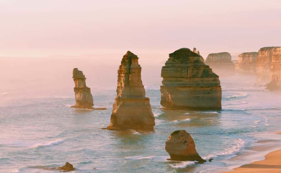 From Melbourne: Great Ocean Road Full-Day Guided Trip - Koalas and birds at Kennett River