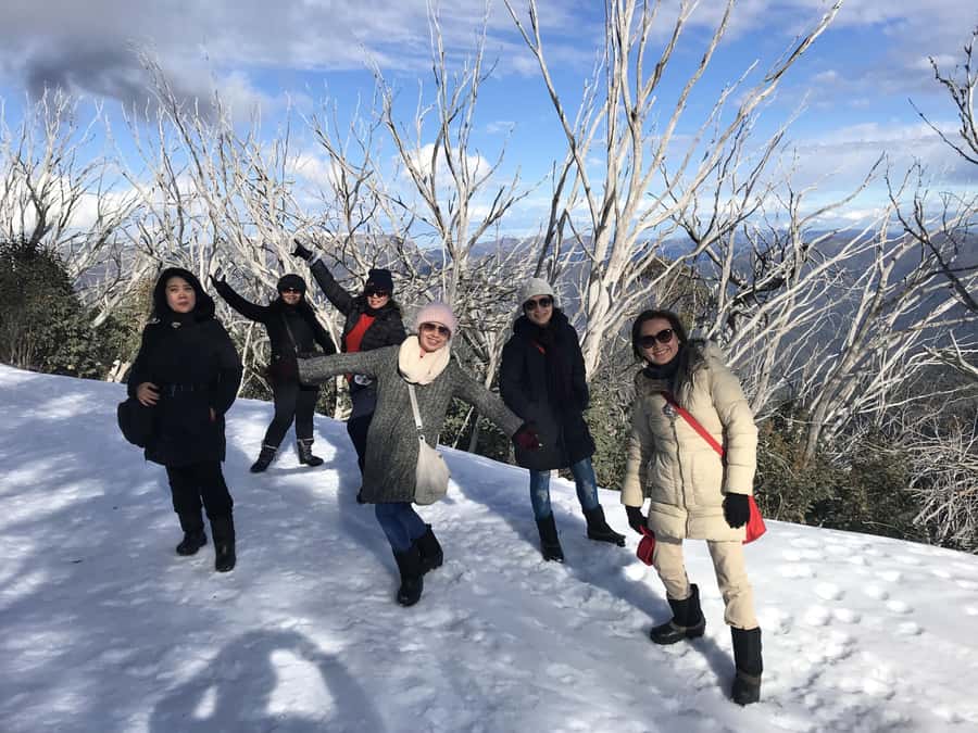 From Melbourne: Mt Buller Snow Day Small Group Boutique Tour - Reaching Horse Hill and choosing your snow day