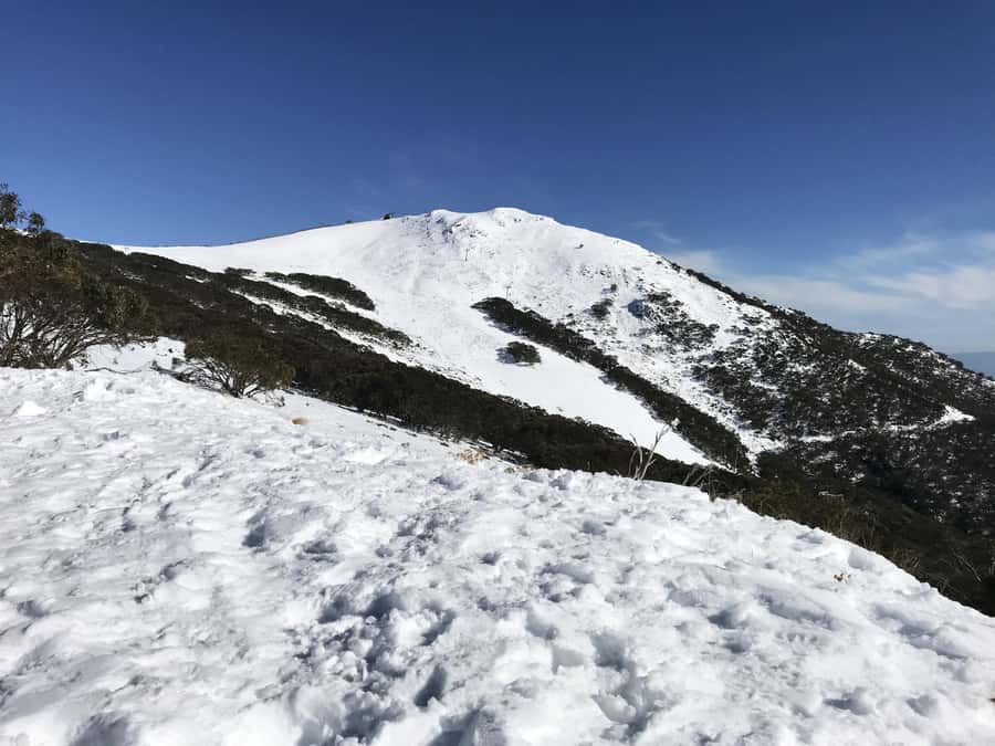 From Melbourne: Mt Buller Snow Day Small Group Boutique Tour - What non-skiers can actually do