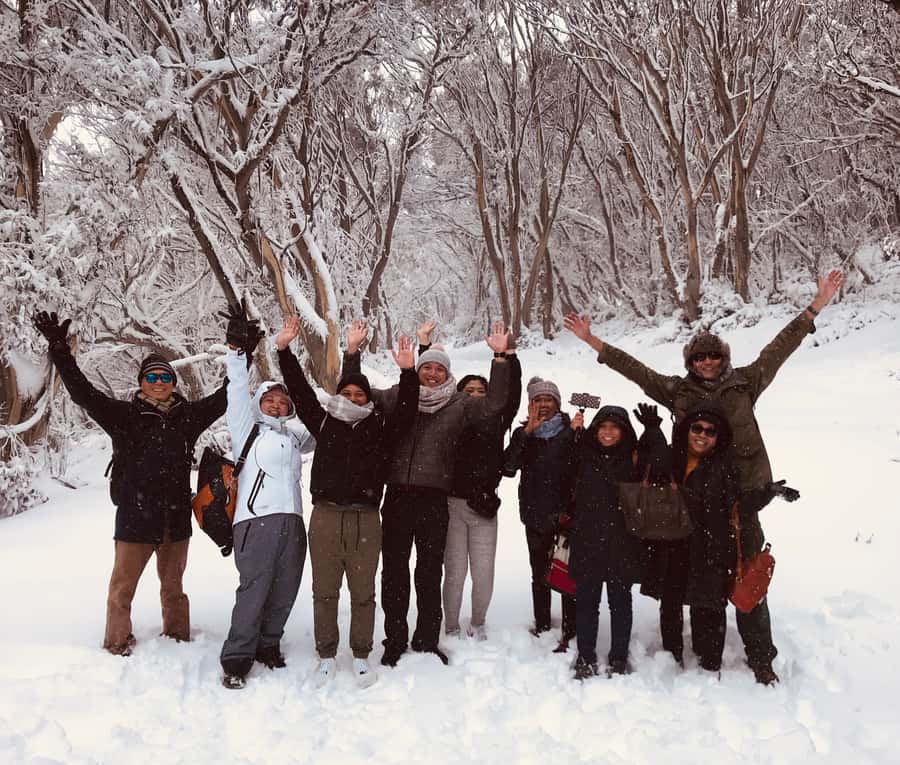 From Melbourne: Mt Buller Snow Day Small Group Boutique Tour - The AUD 116 price and what it really covers