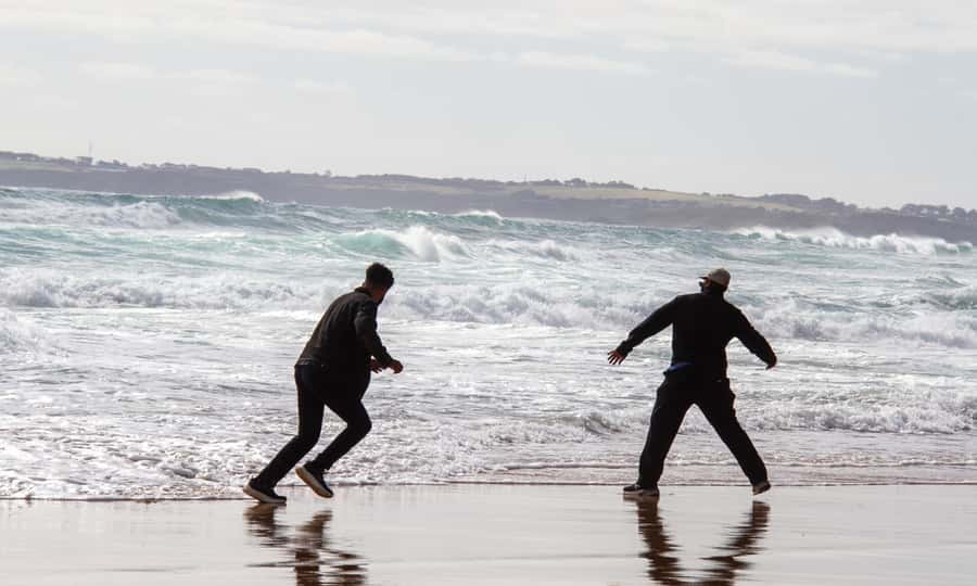 From Melbourne: Penguin Parade Afternoon Tour - Transport, comfort, and the four-hour road time