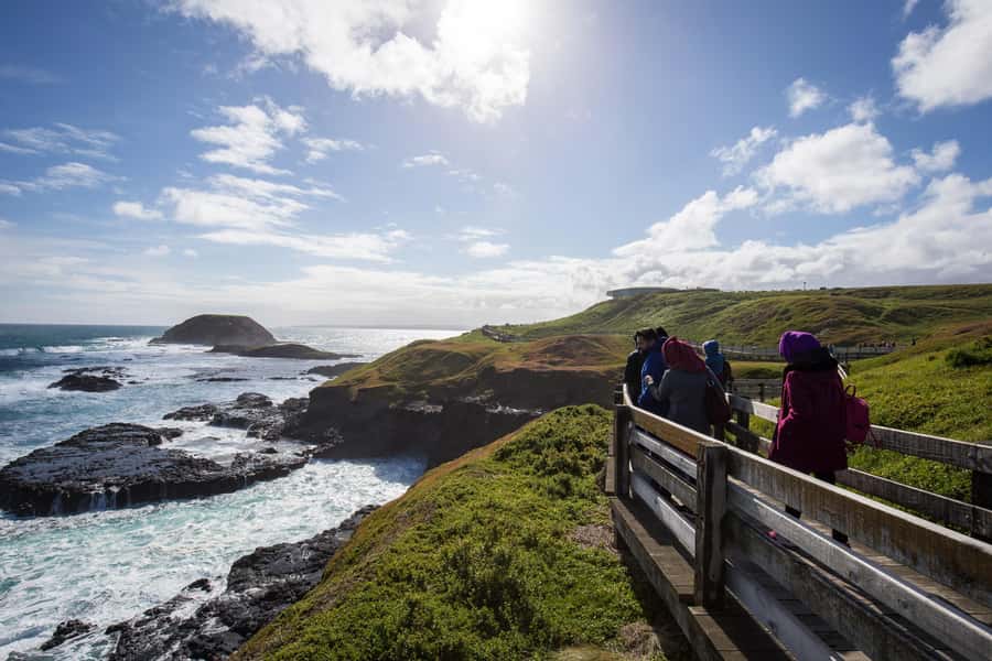 From Melbourne: Penguin Parade, Koalas & Kangaroos - The Nobbies Boardwalk and Seal Rock coast