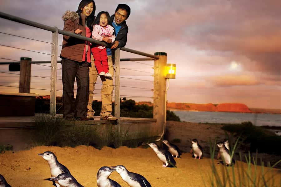 From Melbourne: Phillip Is Penguin Parade & Koala Reserve - Cape Woolamai gives the day some fresh air