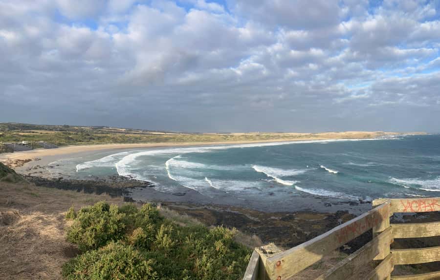 From Melbourne: Phillip Is Penguin Parade & Koala Reserve - What the guide adds to a long day