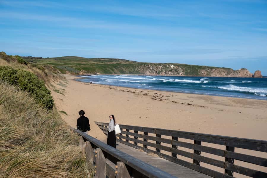 From Melbourne: Phillip Island and Penguin Parade Day Tour - The guides can make or break the experience
