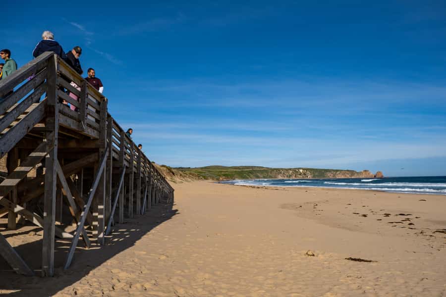 From Melbourne: Phillip Island and Penguin Parade Day Tour - Who should book this Phillip Island trip