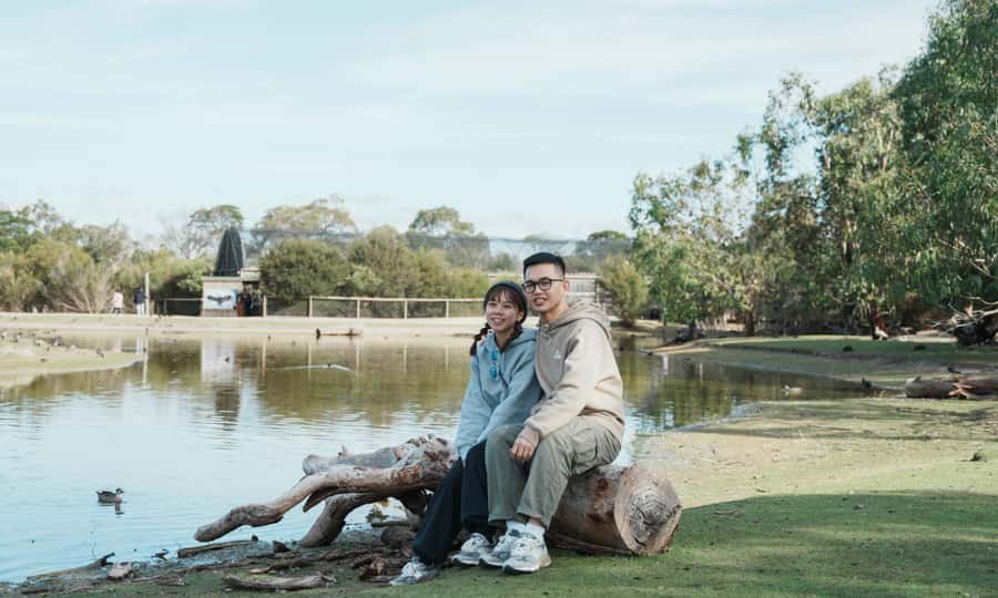 From Melbourne: Phillip Island Penguin Parade Eco Tour - What $109 really gets you