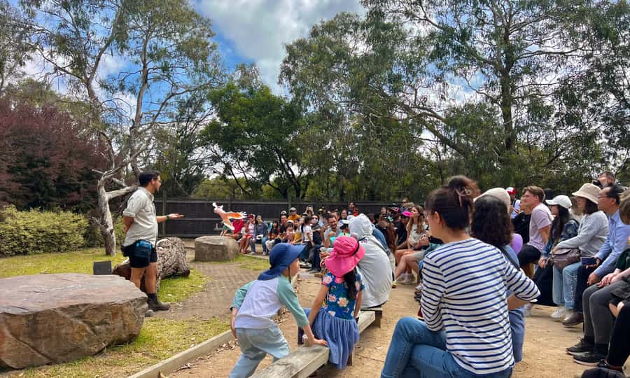 From Melbourne: Phillip Island Penguin Parade Eco Tour - Who will enjoy this day most