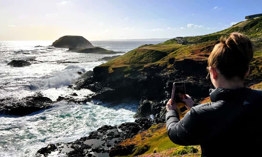 From Melbourne: Phillip Island Penguin Parade Eco Tour - Small details that improve the day