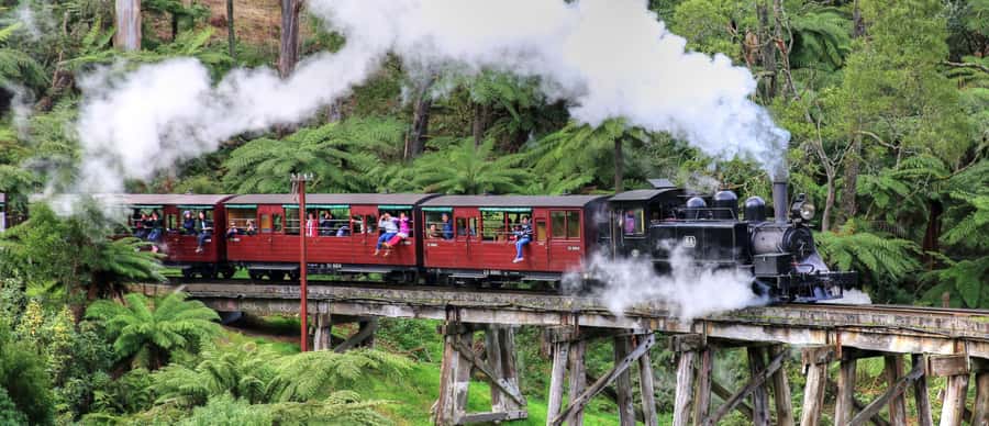 From Melbourne: Puffing Billy and Penguin Parade Combo Tour - Key points to know before booking