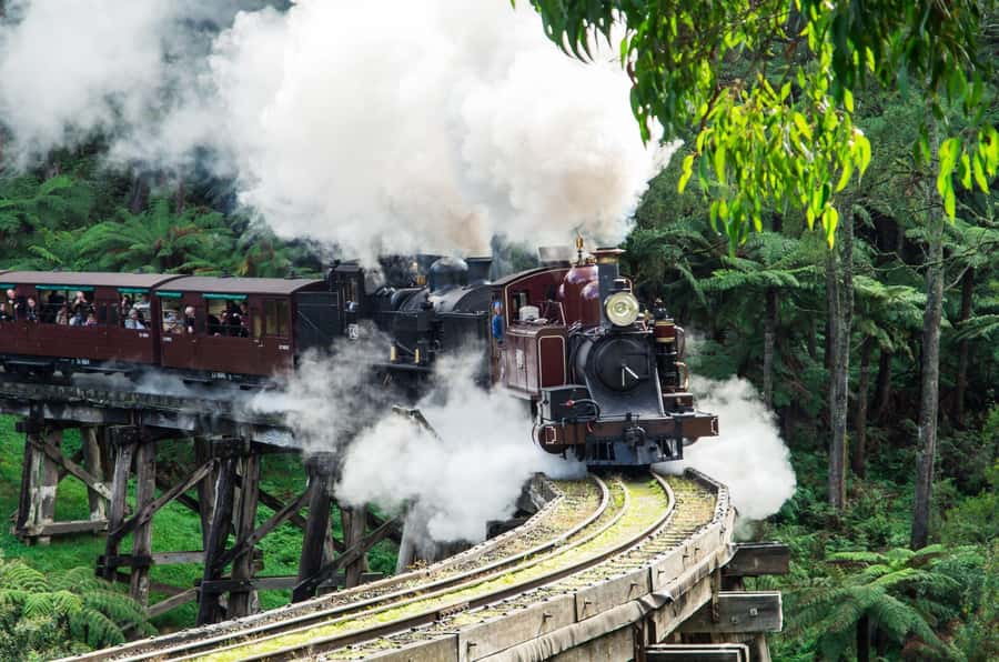 From Melbourne: Puffing Billy and Penguin Parade Combo Tour - Puffing Billy through the Dandenong Ranges