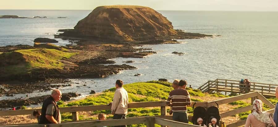 From Melbourne: Puffing Billy and Penguin Parade Combo Tour - The long road to Phillip Island