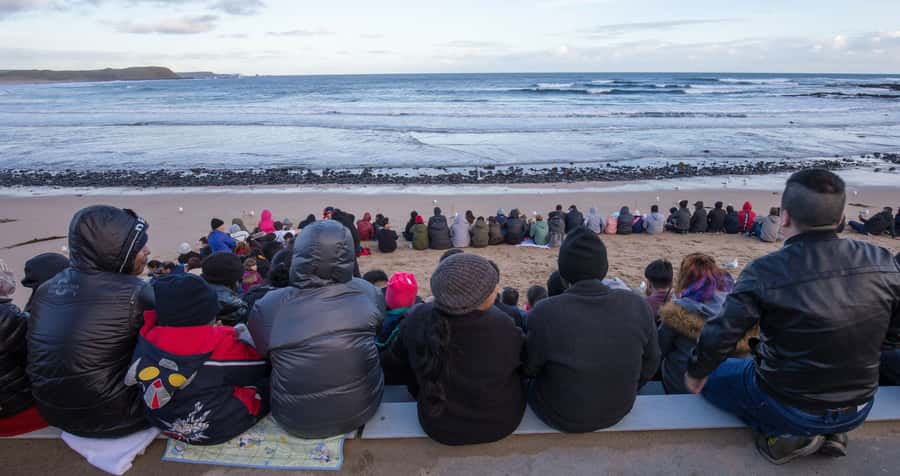 From Melbourne: Puffing Billy and Penguin Parade Combo Tour - The Phillip Island Penguin Parade