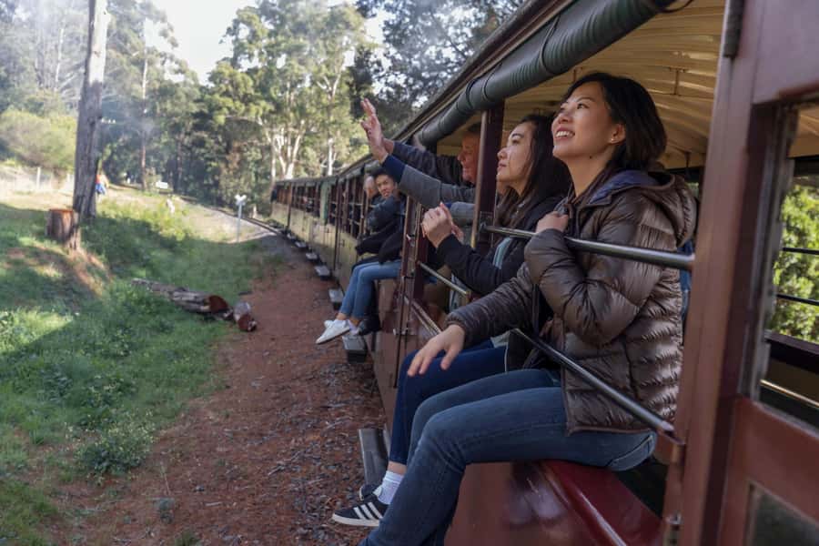 From Melbourne: Puffing Billy Train & Penguin Wildlife Tour - Key points at a glance