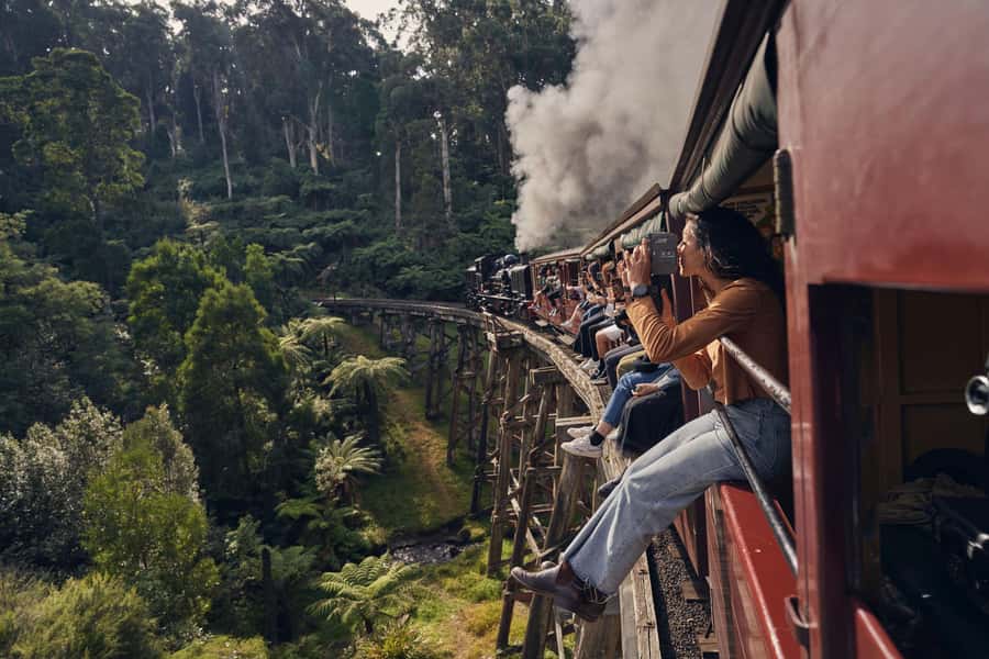 From Melbourne: Puffing Billy Train & Penguin Wildlife Tour - Three Australian highlights in one day