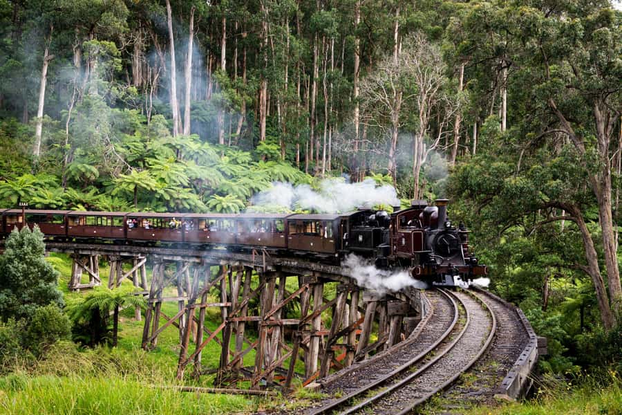 From Melbourne: Puffing Billy Train & Penguin Wildlife Tour - Puffing Billy through the Dandenong Ranges