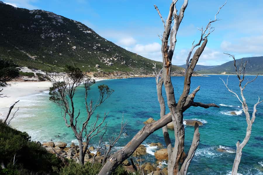From Melbourne: Wilsons Promontory Small Group Day Tour - Who should book this Wilsons Promontory tour?