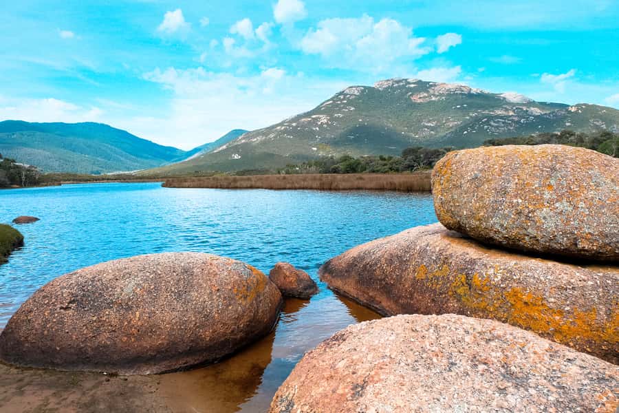 From Melbourne: Wilsons Promontory Small Group Day Tour - Why this Wilsons Promontory day trip works