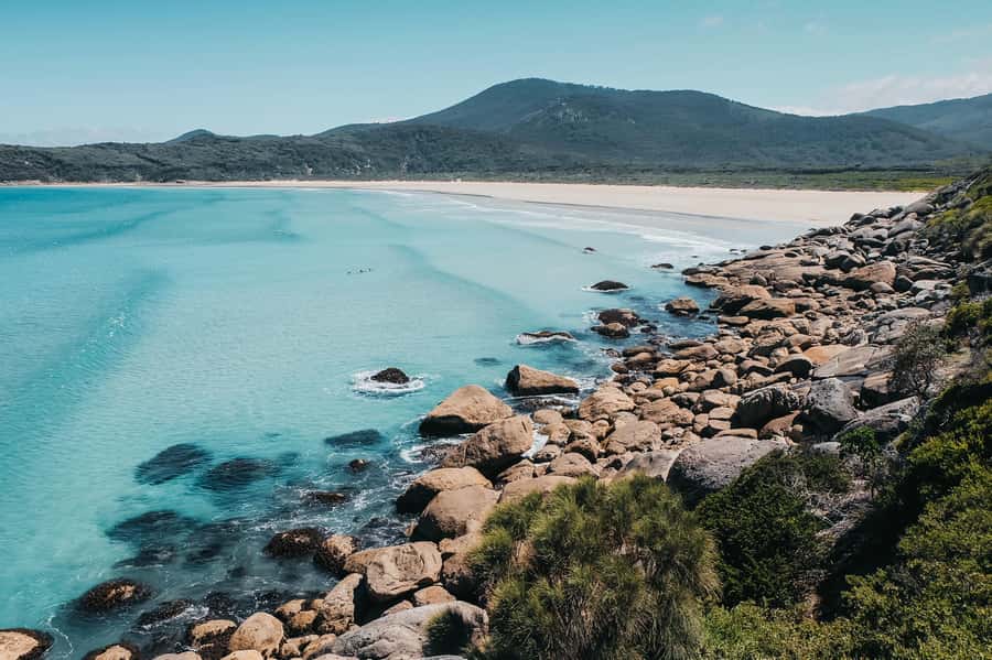 From Melbourne: Wilsons Promontory Small Group Day Tour - From Melbourne to the Big Drift sand dunes