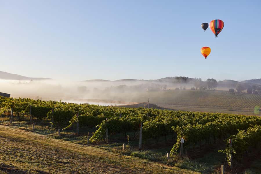 From Melbourne: Yarra Valley Hop-On-Hop-Off Bus Ticket - How to plan four stops without rushing