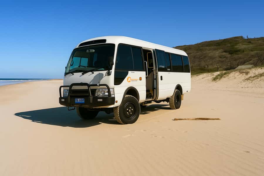 From Noosa: K'gari (Fraser Island) Small-Group Tour - Eli Creek: 45 minutes in clear freshwater