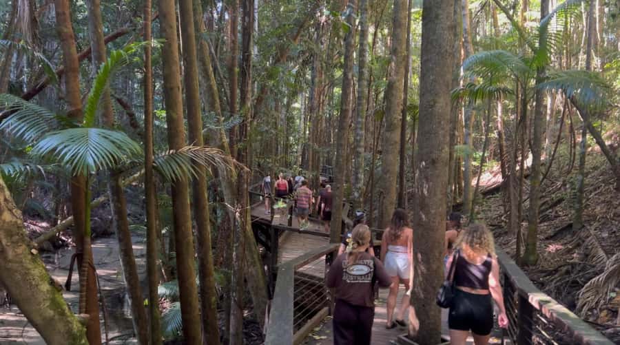 From Noosa: K'gari (Fraser Island) Small-Group Tour - The SS Maheno and a short lesson in island history